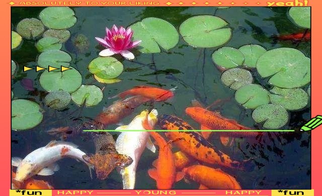 屬龍人養(yǎng)魚的最佳朝向