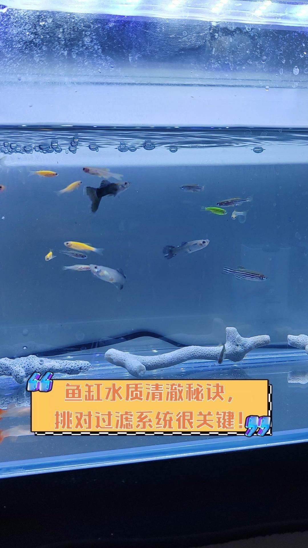 如何判斷過濾系統(tǒng)是否合適？