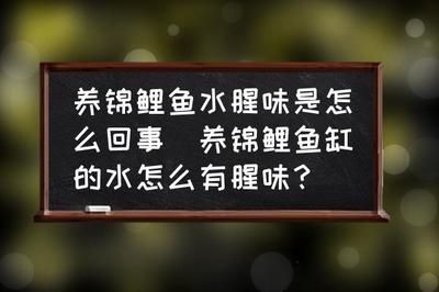 十大清潔魚缸魚