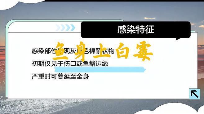 如何預防龍魚白霉病？