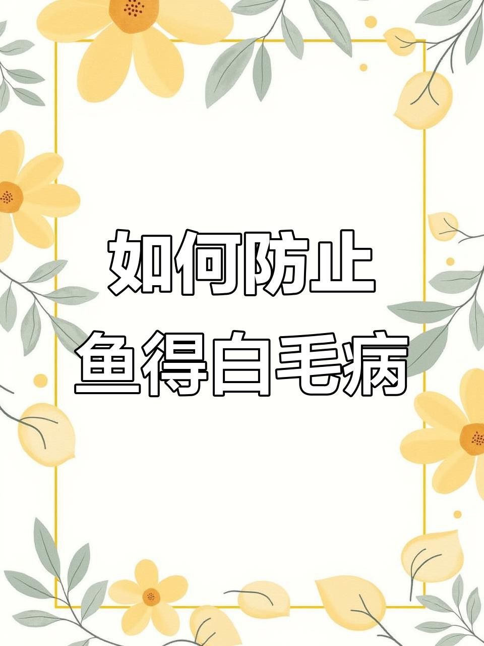 如何預防龍魚白霉病？