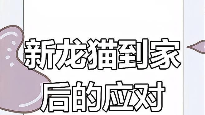 如何判斷龍貓是否適應新環境？