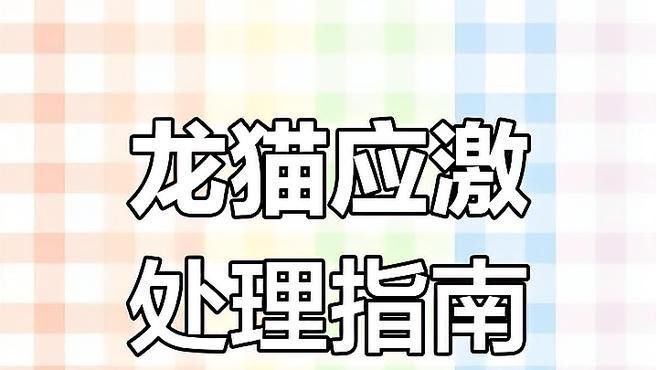 如何判斷龍貓是否適應新環境？