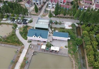 龍魚哪里有釣魚的地方：原神中釣龍魚技巧