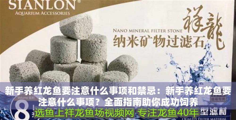 新手養紅龍魚要注意什么事項和禁忌：新手養紅龍魚要注意什么事項？全面指南助你成功飼養 新手養紅龍魚要注意什么事項和禁忌：新手養紅龍魚要注意什么事項？全面指南助你成功飼養 龍魚百科 第1張