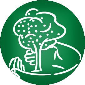 龍眼爛尾最怕三樣東西