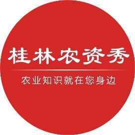 龍眼爛尾最怕三樣東西
