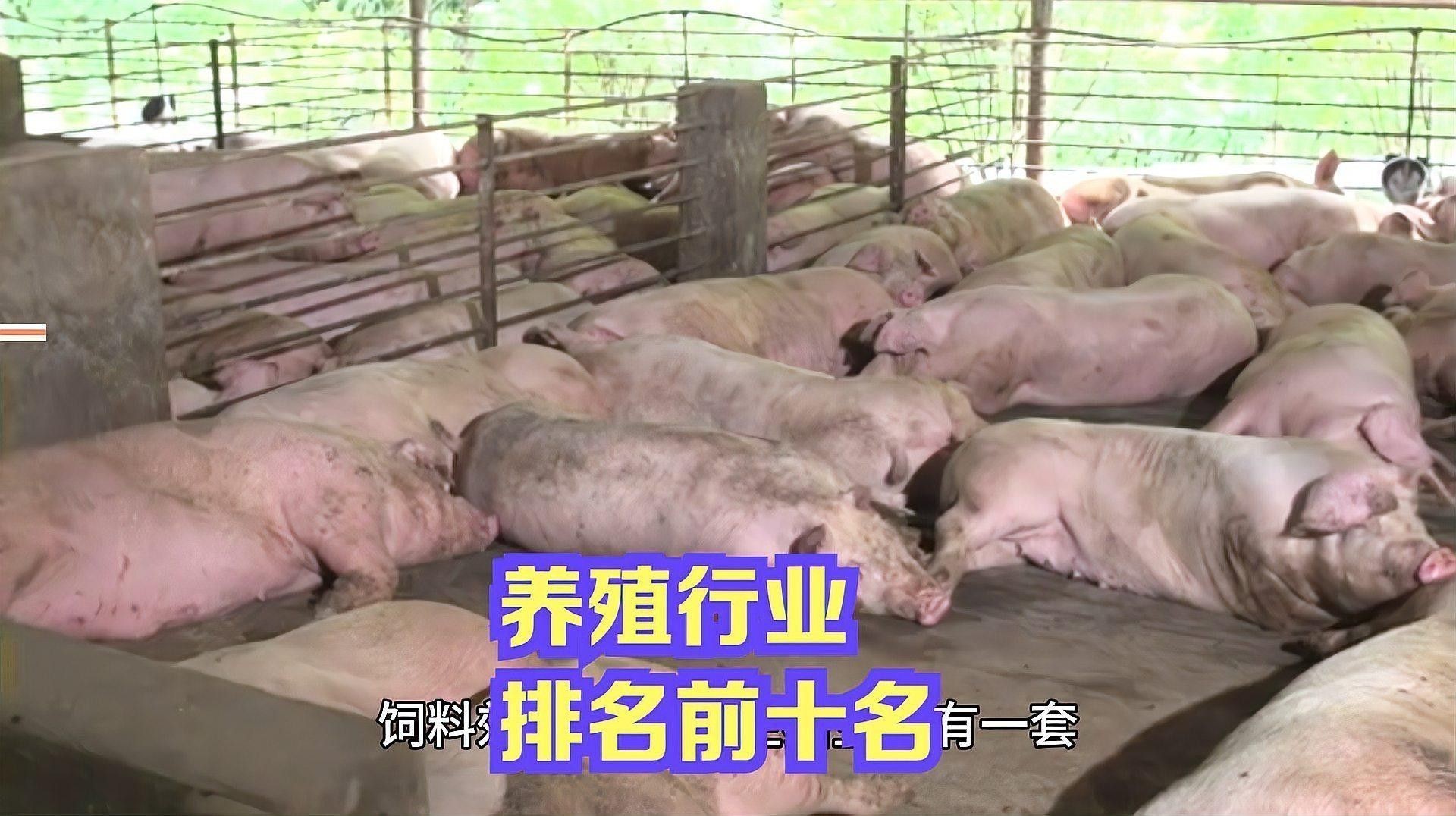 這些養殖場哪個口碑最好？