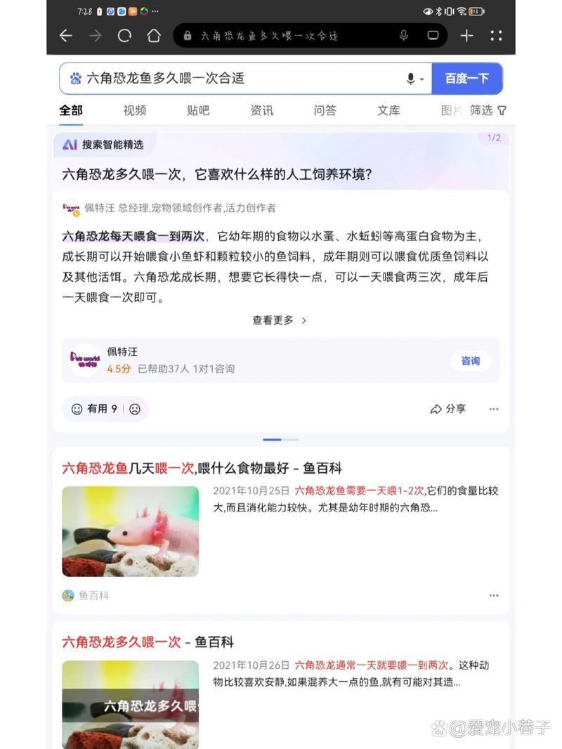 如何建立六角恐龍的喂食日志？