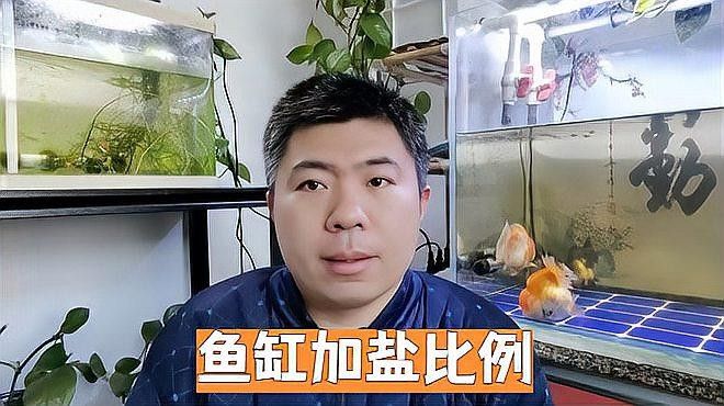 龍魚缸加鹽什么比例