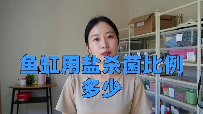 龍魚缸加鹽什么比例