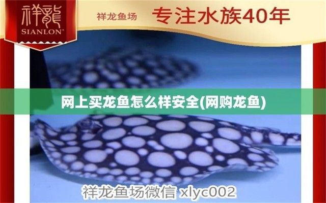 網(wǎng)購(gòu)龍魚(yú)有什么風(fēng)險(xiǎn)：網(wǎng)購(gòu)龍魚(yú)存在哪些風(fēng)險(xiǎn)？