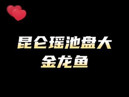 紅龍魚和金龍魚哪個好釣