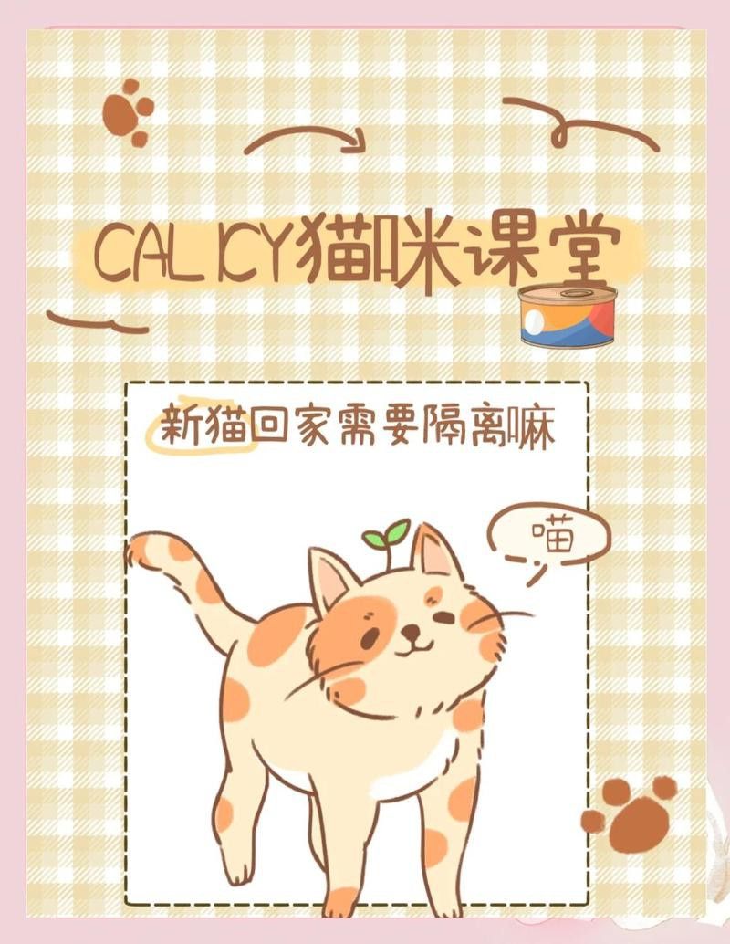 銀龍魚混養視頻大全圖片高清