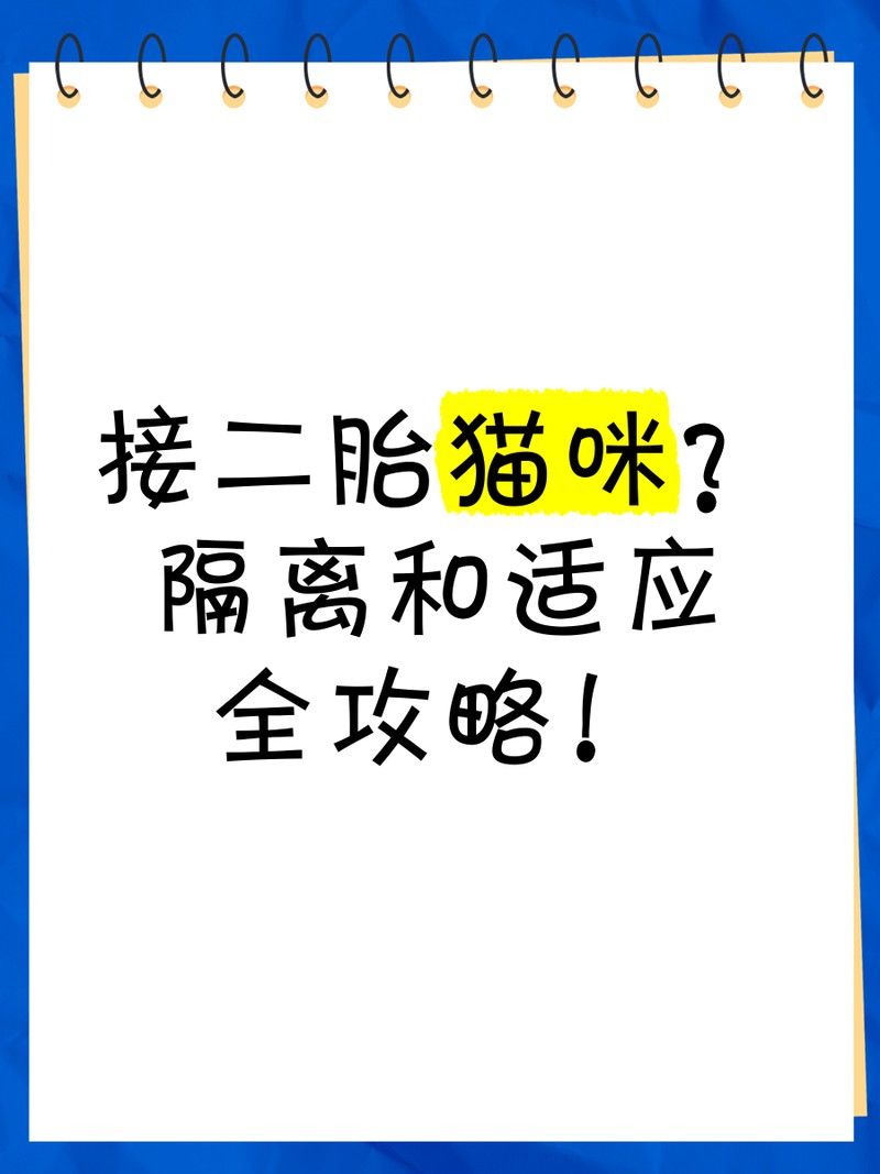 銀龍魚混養視頻大全圖片高清