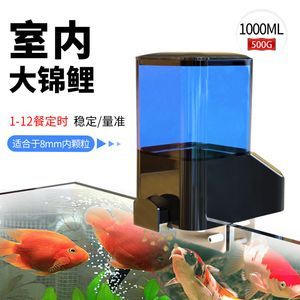 紅龍魚高清圖片大全大圖壁紙（紅龍魚高清圖片大全大圖壁紙下載）