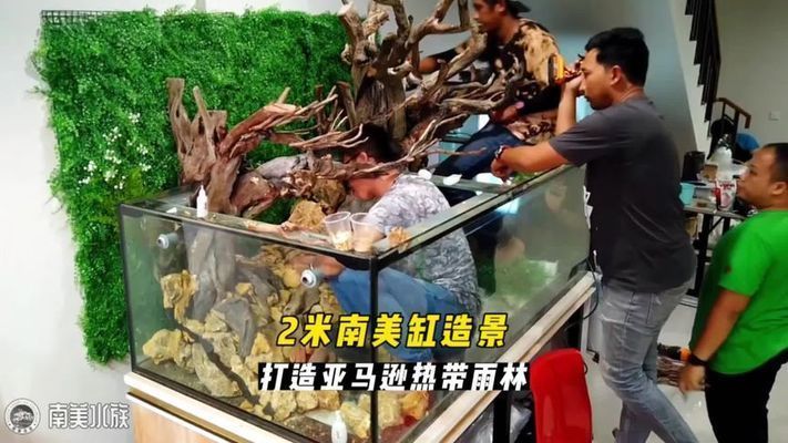 龍魚缸改原生缸底部承受的住嗎：龍魚缸改原生缸底部承受的住嗎詳情