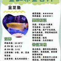 金龍魚的外貌描述
