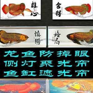 賣龍魚取一個(gè)店名：賣龍魚店名如何取名