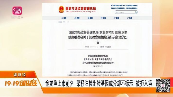金龍魚的趣事（關于金龍魚的趣事）