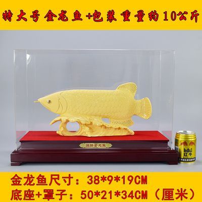 最大的金龍魚可以重達200斤（約100公斤），可以重達100公斤：世界上最大的金龍魚有多重？