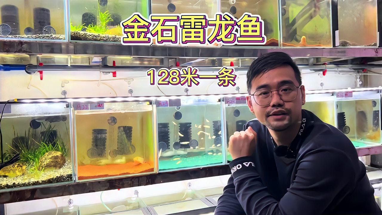 云南雷龍魚值錢嗎圖片