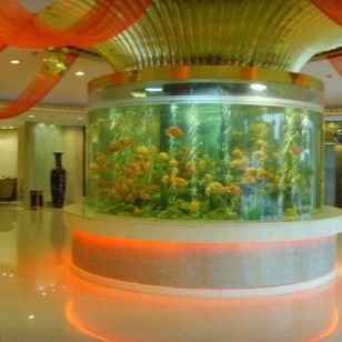廣州魚缸批發(fā)市場ff祥龍魚場（廣州魚缸批發(fā)市場）