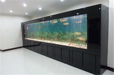 廣州魚缸批發(fā)市場ff祥龍魚場（廣州魚缸批發(fā)市場）