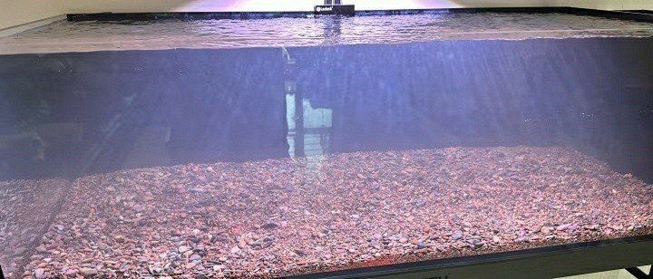 老魚匠魚缸為什么這么貴