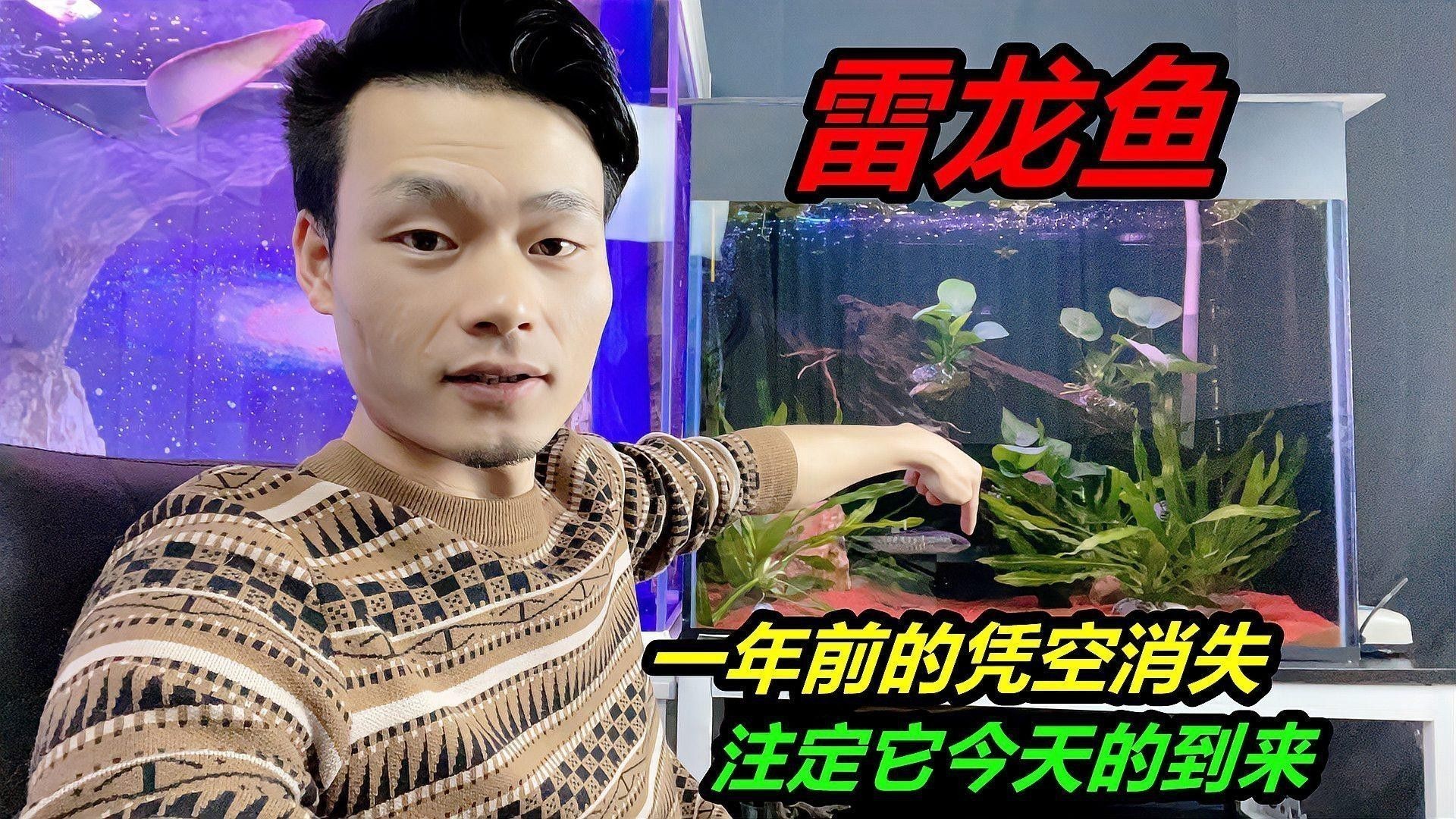 如何判斷雷龍魚是否發色成功？