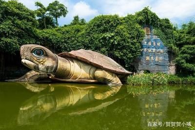 龍魚神龜傳說在線觀看：有聲書:龍魚神龜傳說