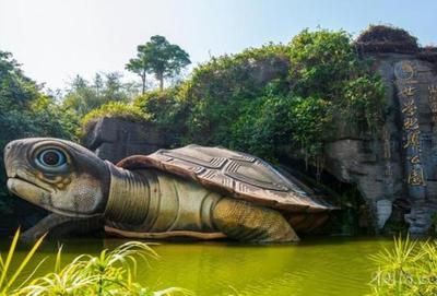 龍魚神龜傳說在線觀看：有聲書:龍魚神龜傳說