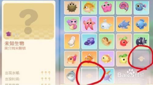 金龍魚在哪釣？，金龍魚自然水域釣魚技巧