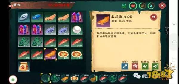 金龍魚在哪釣？，金龍魚自然水域釣魚技巧
