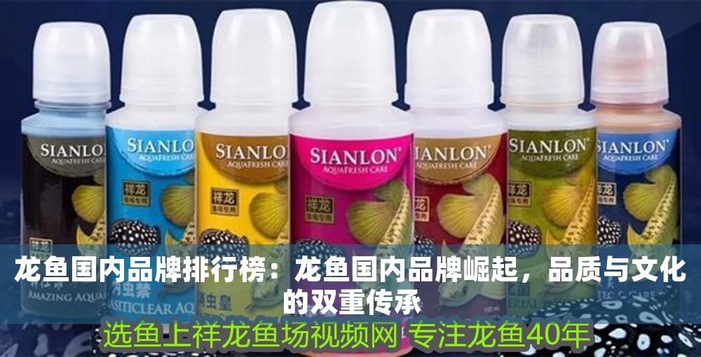 龍魚國內品牌排行榜：龍魚國內品牌崛起，品質與文化的雙重傳承