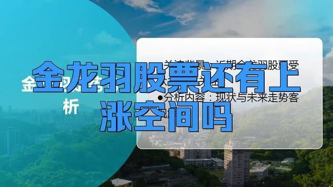 金龍羽為什么漲停