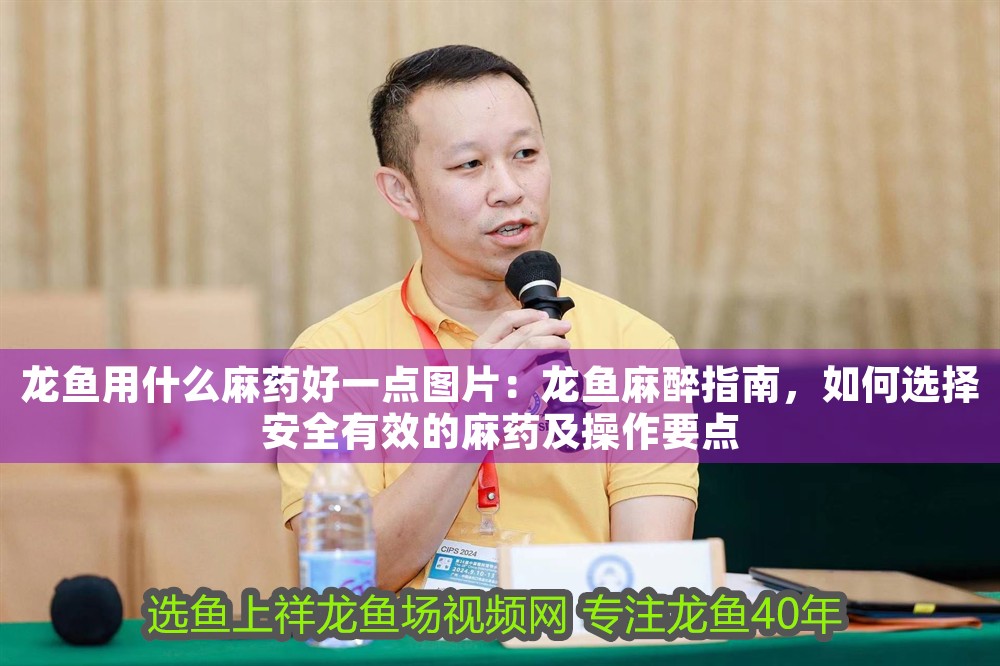 龍魚用什么麻藥好一點圖片：龍魚麻醉指南，如何選擇安全有效的麻藥及操作要點