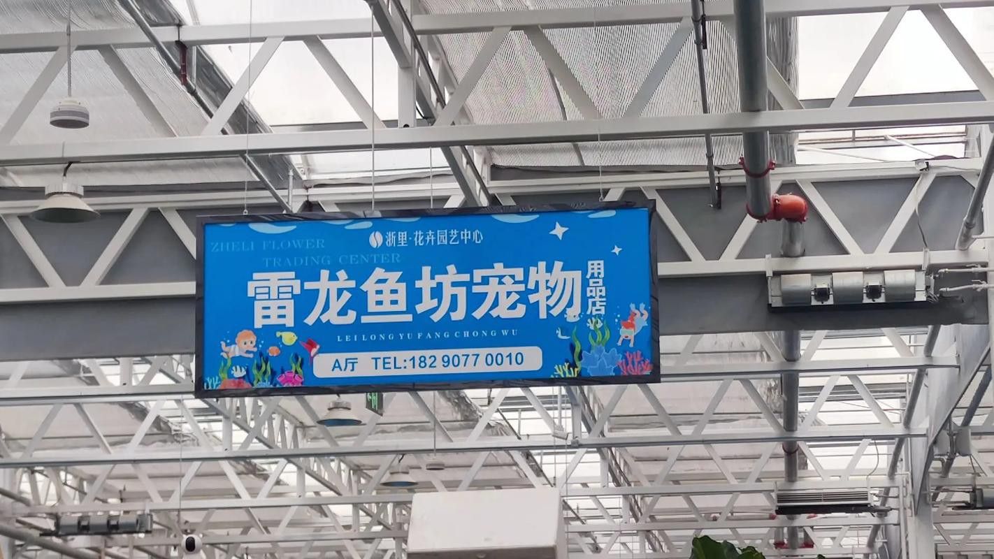 天津雷龍魚專賣店