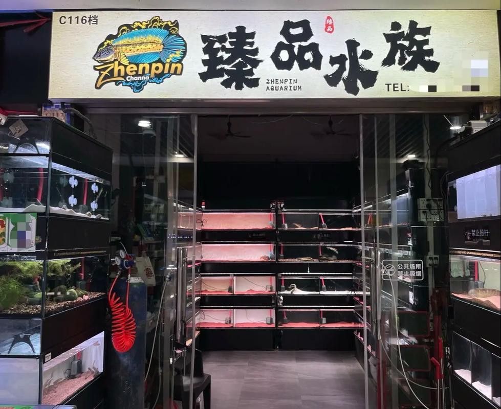 天津雷龍魚專賣店