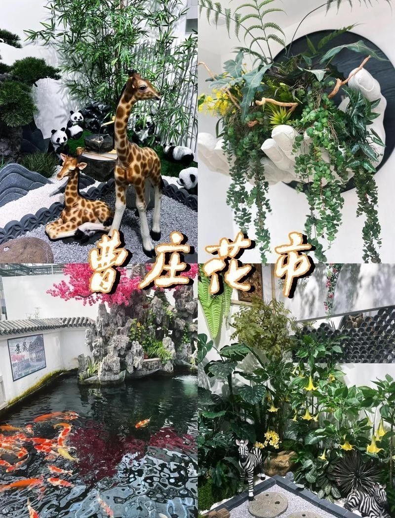 天津雷龍魚專賣店