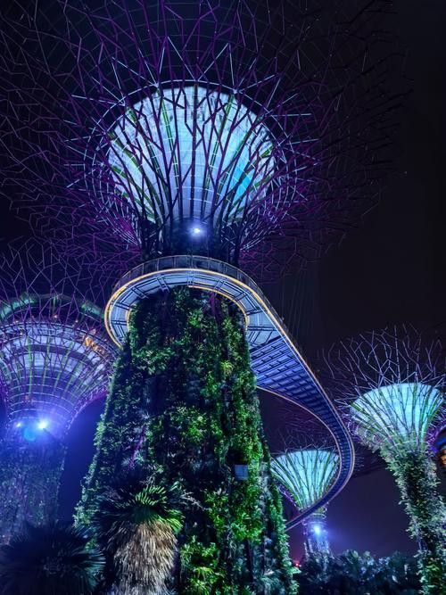 能否提供帶有燈光的造景效果圖？