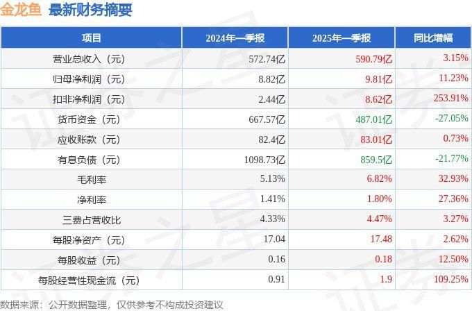 金龍魚財務分析報告