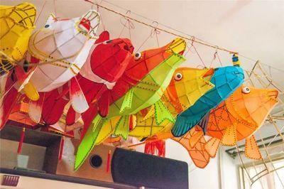 養龍魚燈放在什么位置（養龍魚時，燈光的擺放位置非常重要）