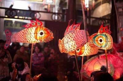 養龍魚燈放在什么位置（養龍魚時，燈光的擺放位置非常重要）