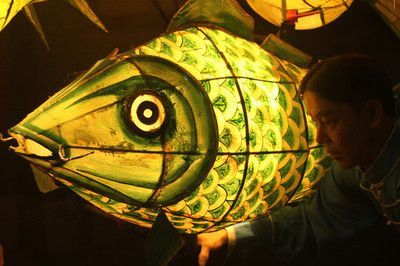 養龍魚燈放在什么位置（養龍魚時，燈光的擺放位置非常重要）