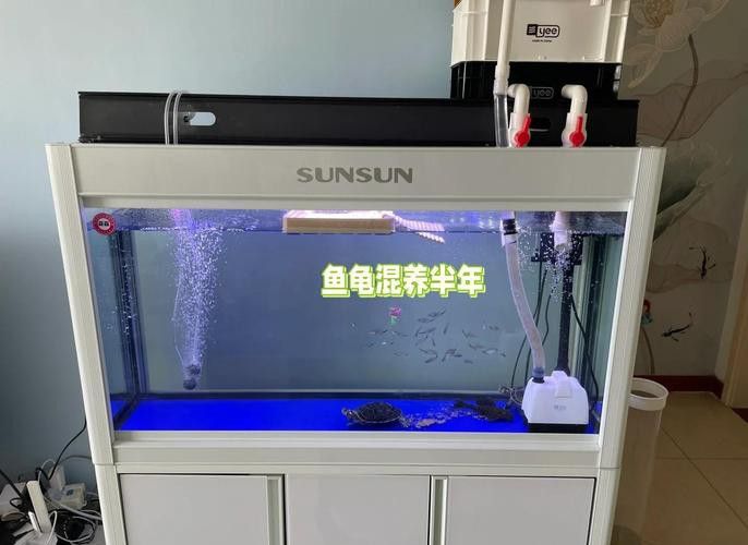 推薦幾款適合龜增色龍魚的水質(zhì)檢測(cè)工具