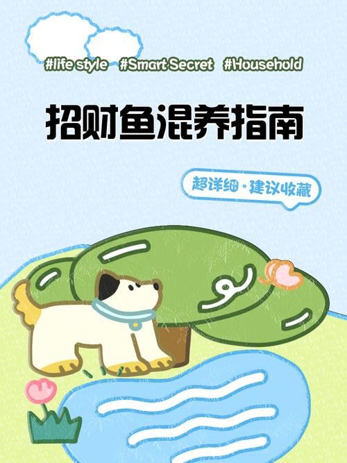 招財魚能和龍魚混養嗎圖片 招財魚能和龍魚混養嗎圖片 龍魚百科 第11張