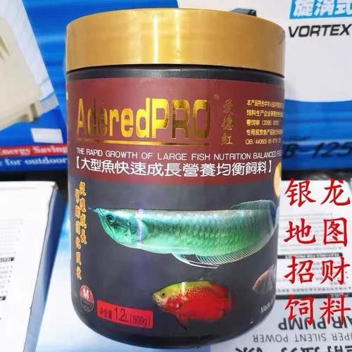 招財魚能和龍魚混養嗎圖片 招財魚能和龍魚混養嗎圖片 龍魚百科 第15張