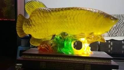 怎樣才能讓龍魚亮片（如何讓龍魚展現出自然、健康的美麗色澤）