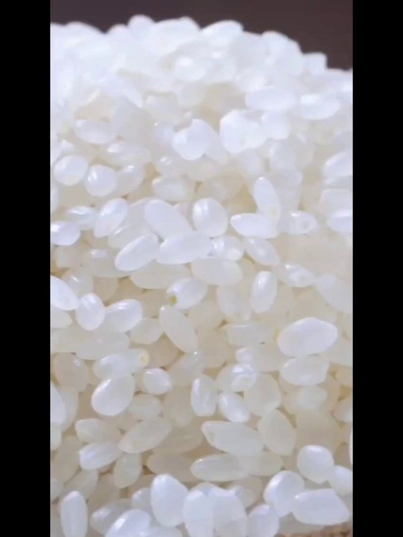 金龍魚優質絲苗米好吃嗎